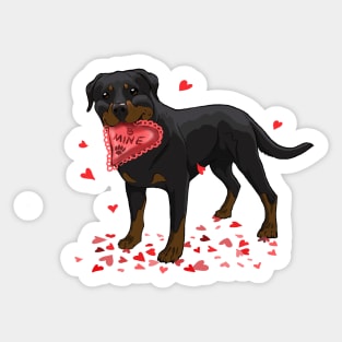 Valentine's Rottweiler Sticker